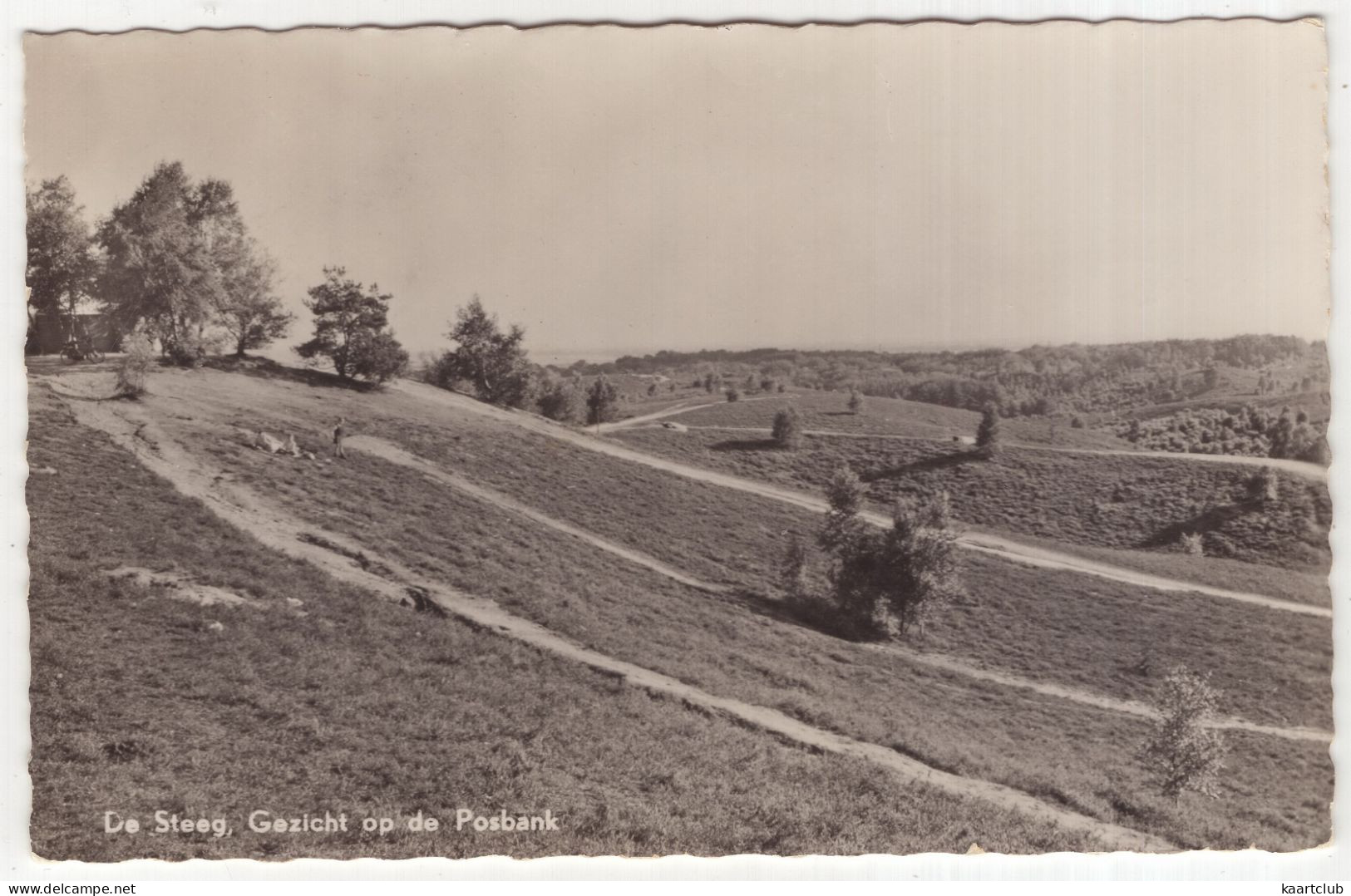 De Steeg, Gezicht Op De Posbank - (Nederland/Holland) - 1957 - Rheden