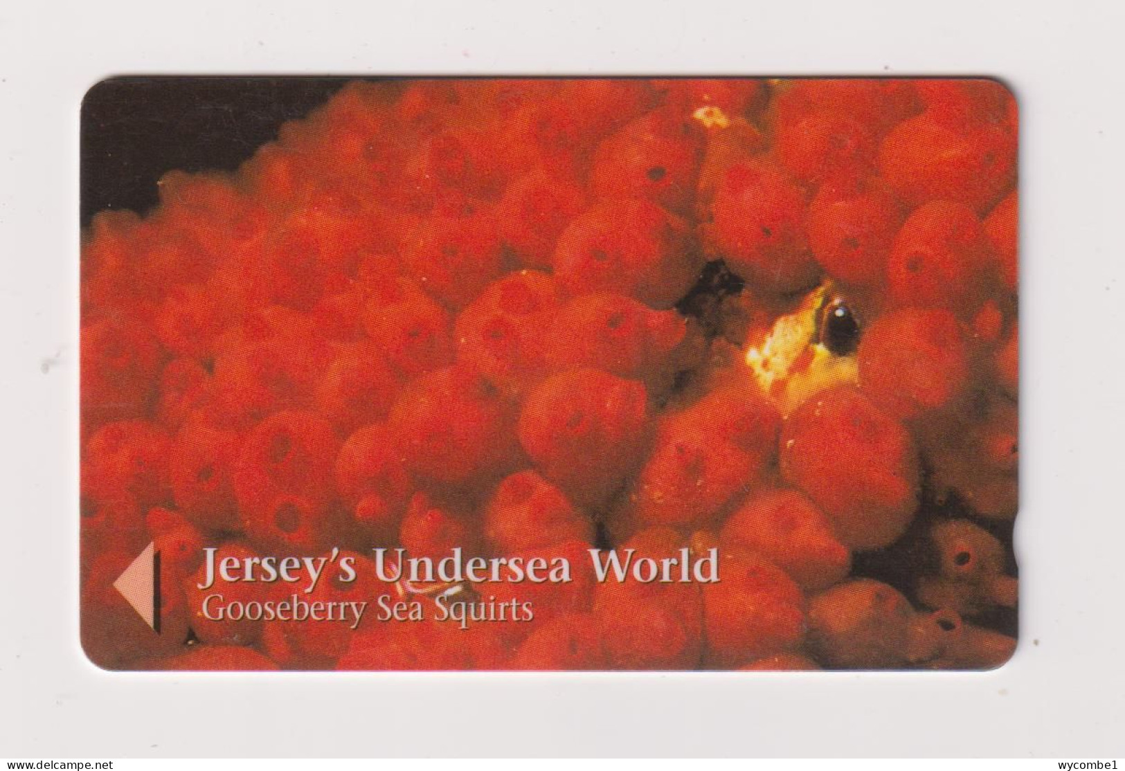 JERSEY -  Gooseberry Sea Squirts GPT Magnetic  Phonecard - [ 7] Jersey And Guernsey