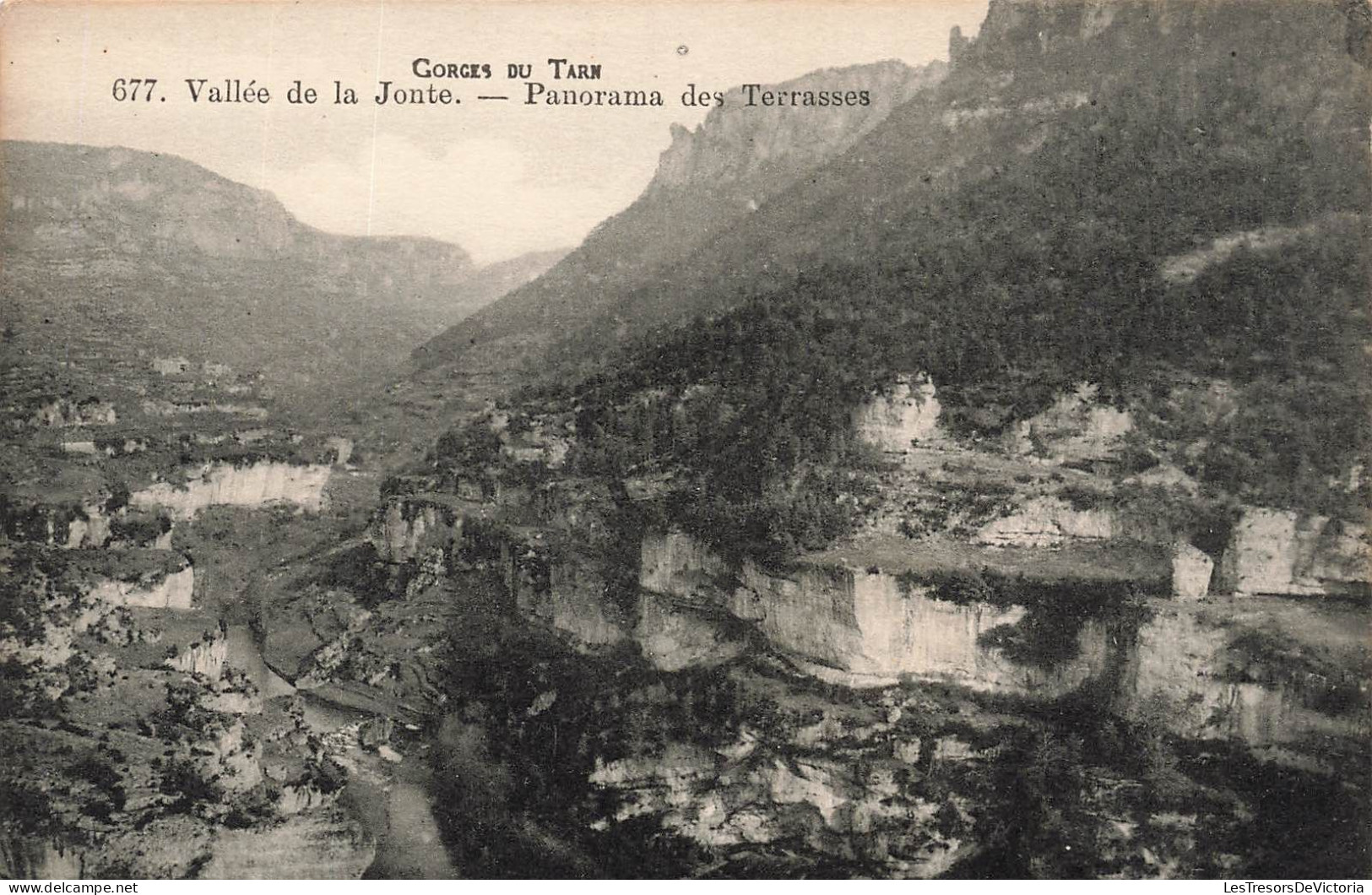 FRANCE - Gorges Du Tarn - Vallée De La Jonte - Panorama Des Terrasses - Carte Postale Ancienne - Altri & Non Classificati