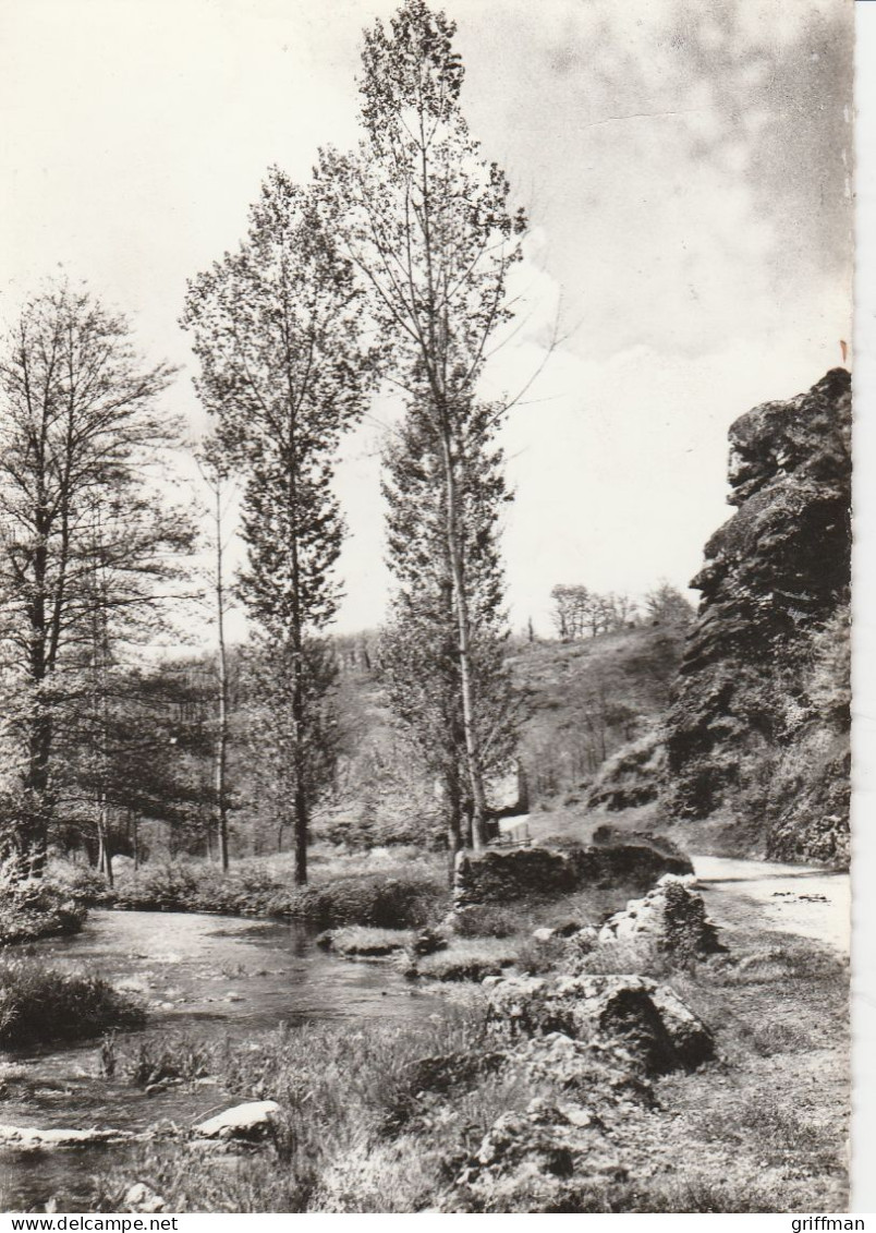 ROCHECHOUART LES BORDS DE LA GRENNE CPSM 10X15 TBE - Pierre Buffiere