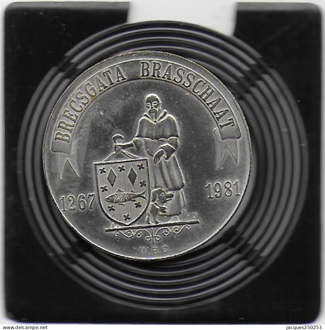 1 BR - BRACENTER 1981 BRASSCHAT - Gemeentepenningen