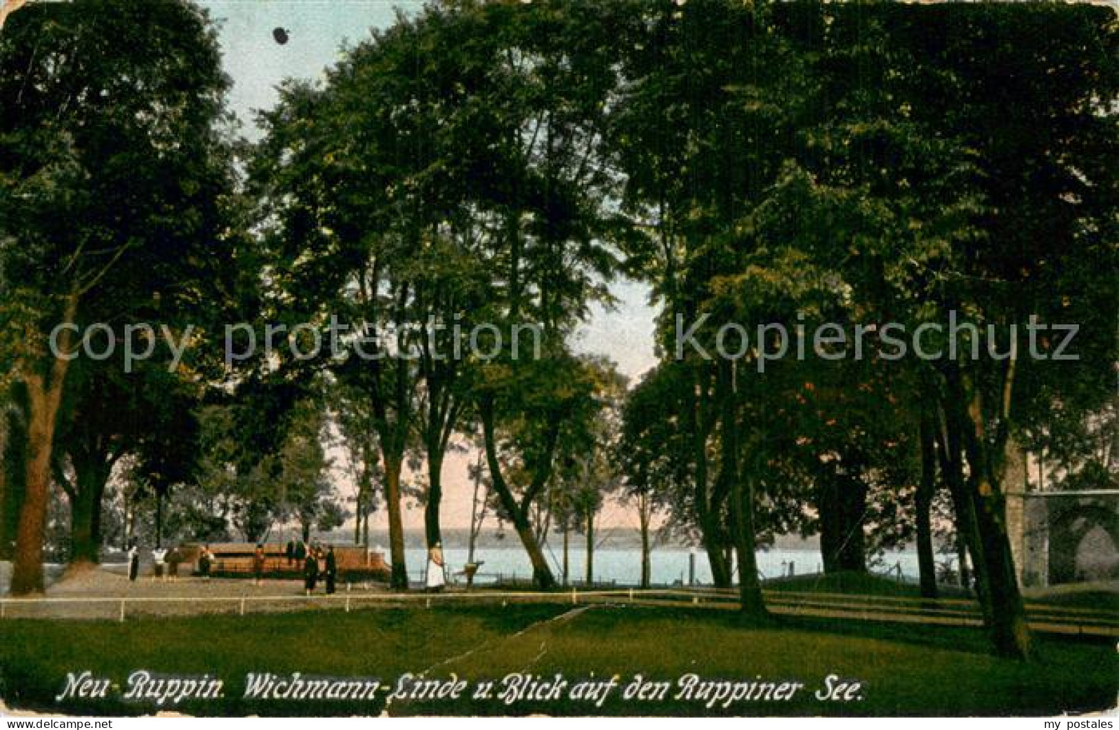 73777381 Neu-Ruppin Neuruppin Wichmann-Linde Blick Auf Den Ruppiner See  - Neuruppin