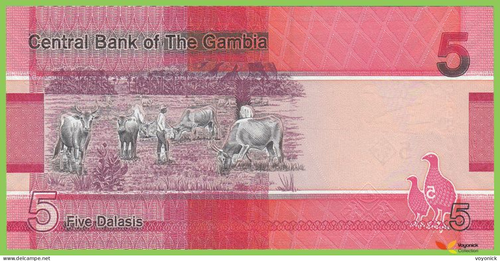 Voyo GAMBIA 5 Dalasis 2019 P37a B235a A UNC - Gambia
