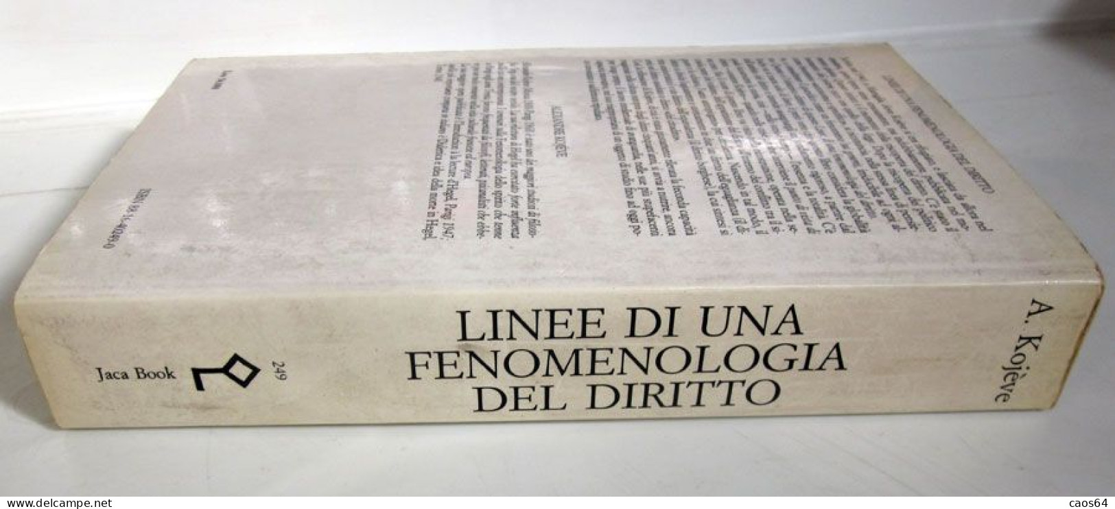 Linee Di Una Fenomenologia Del Diritto Alexandre Kojève Jaca Book 1989 - Droit Et économie