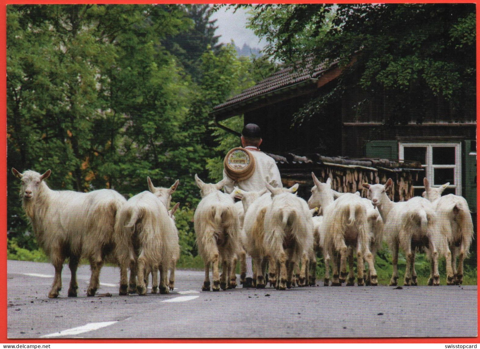 APPENZELLERLAND Senn Mit Ziegen - Appenzell