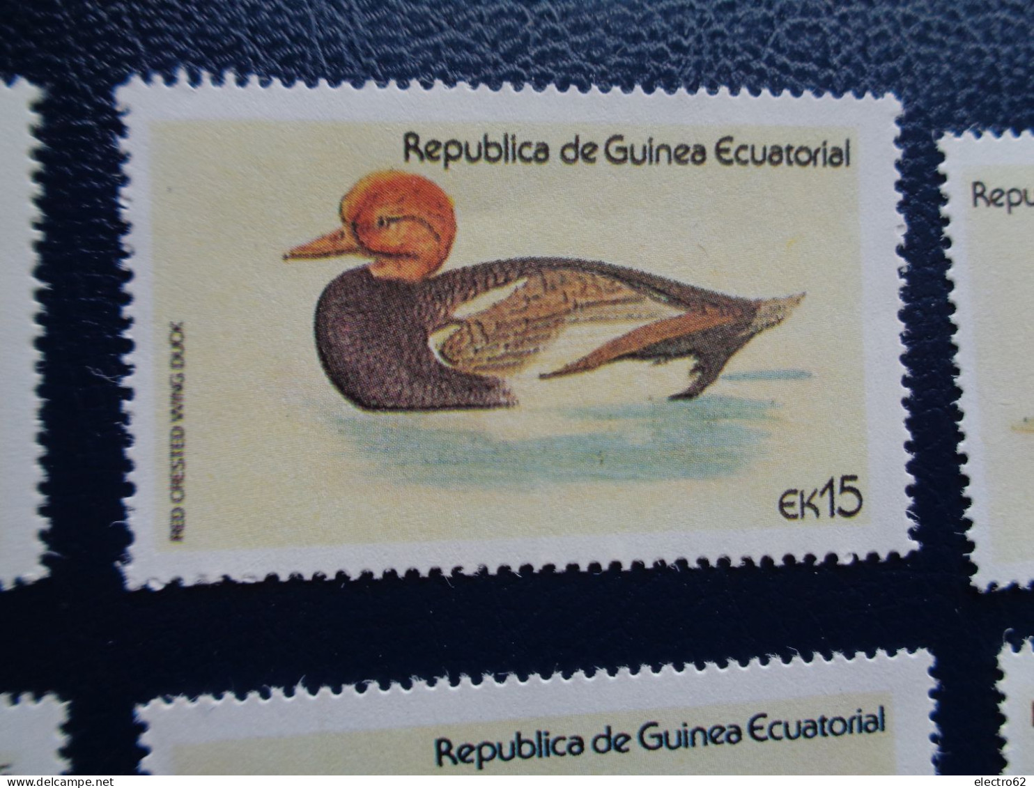 Guinée Equatoriale Canard Duck Ente Pato Anatra Eend Giappone And Guinea Ecuatorial - Canards