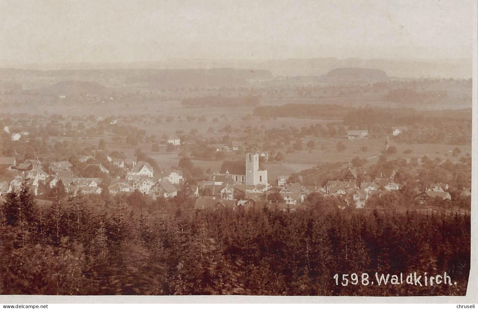 Waldkirch  Fliegeraufnahme - Waldkirch