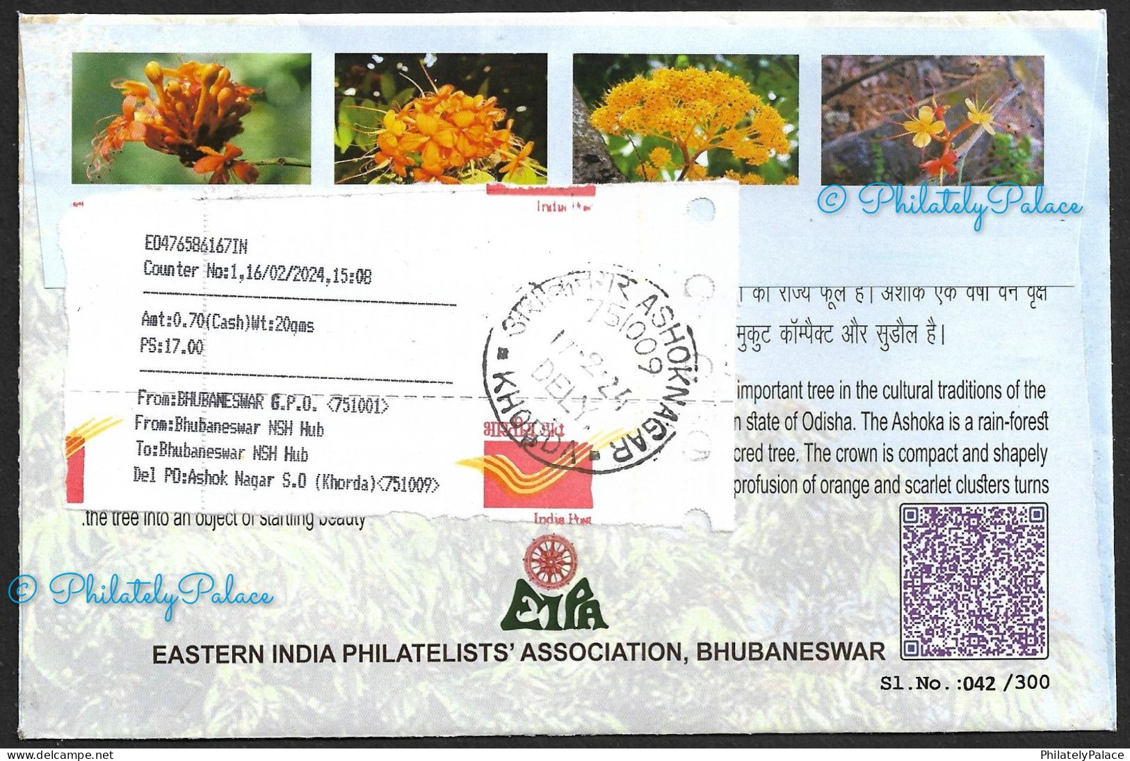 India 2024 Ashoka Flower,Indian Roller,Bird,Peepal Tree,Fish,Deer,Animal,State Odisha,Registered Cover (**) Inde Indien - Covers & Documents