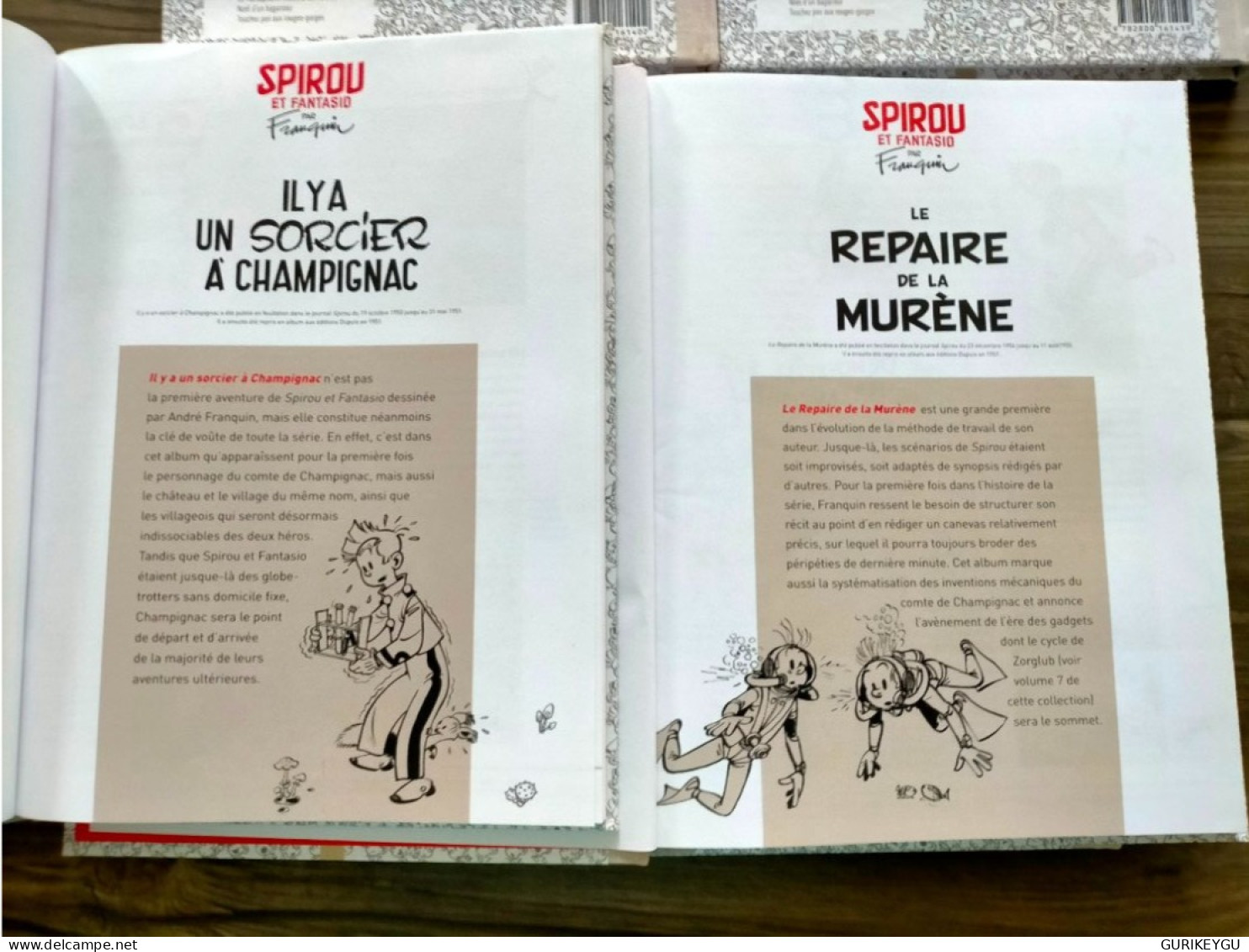 SPIROU Et FANTASIO Par FRANQUIN 1.2.3.4.5 Un SORCIER à CHAMPIGNAC DICTATEUR MARSUPILAMI GORILLE MURENE 2013 TTBE - Spirou Et Fantasio