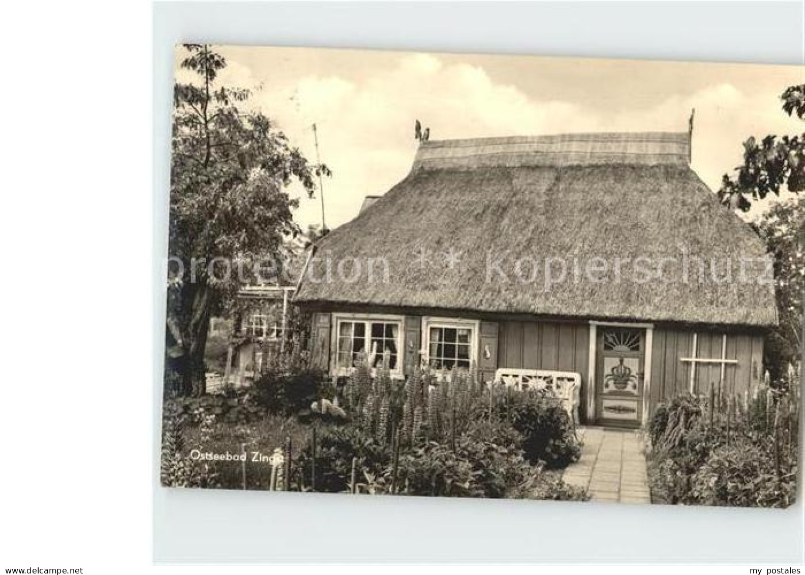 72383895 Zingst Ostseebad Typisches Haus  Zingst - Zingst