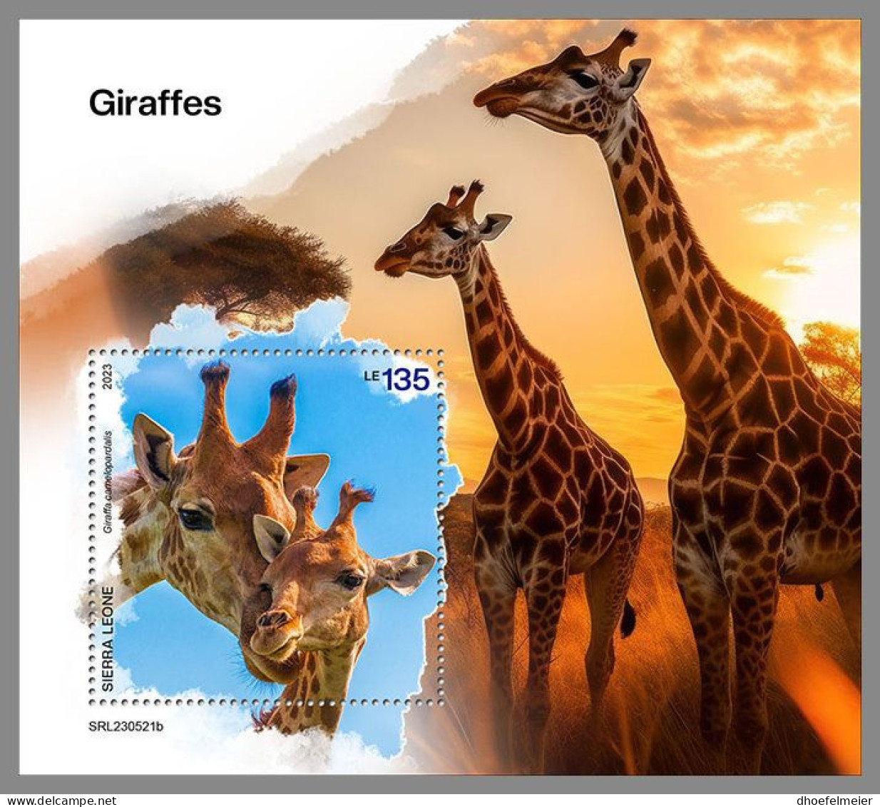 SIERRA LEONE 2023 MNH Giraffes Giraffen S/S – IMPERFORATED – DHQ2411 - Girafes