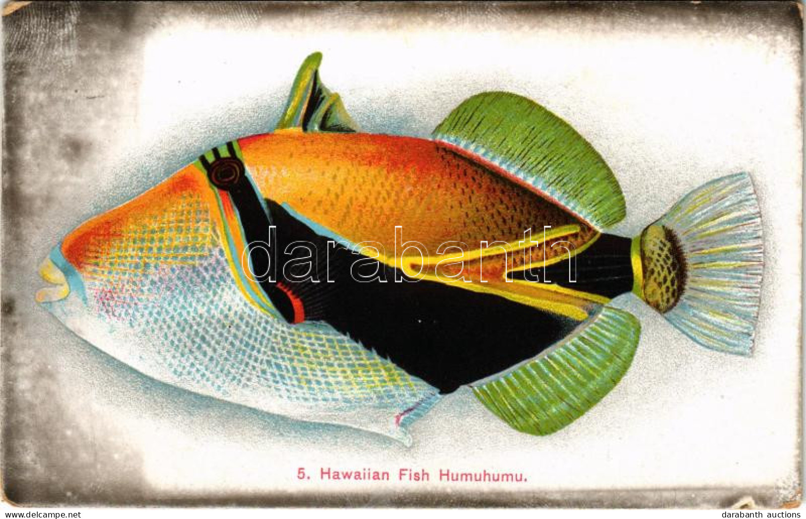 * T2/T3 Hawaiian Fish Humuhumu (ragasztónyom / Glue Mark) - Non Classés