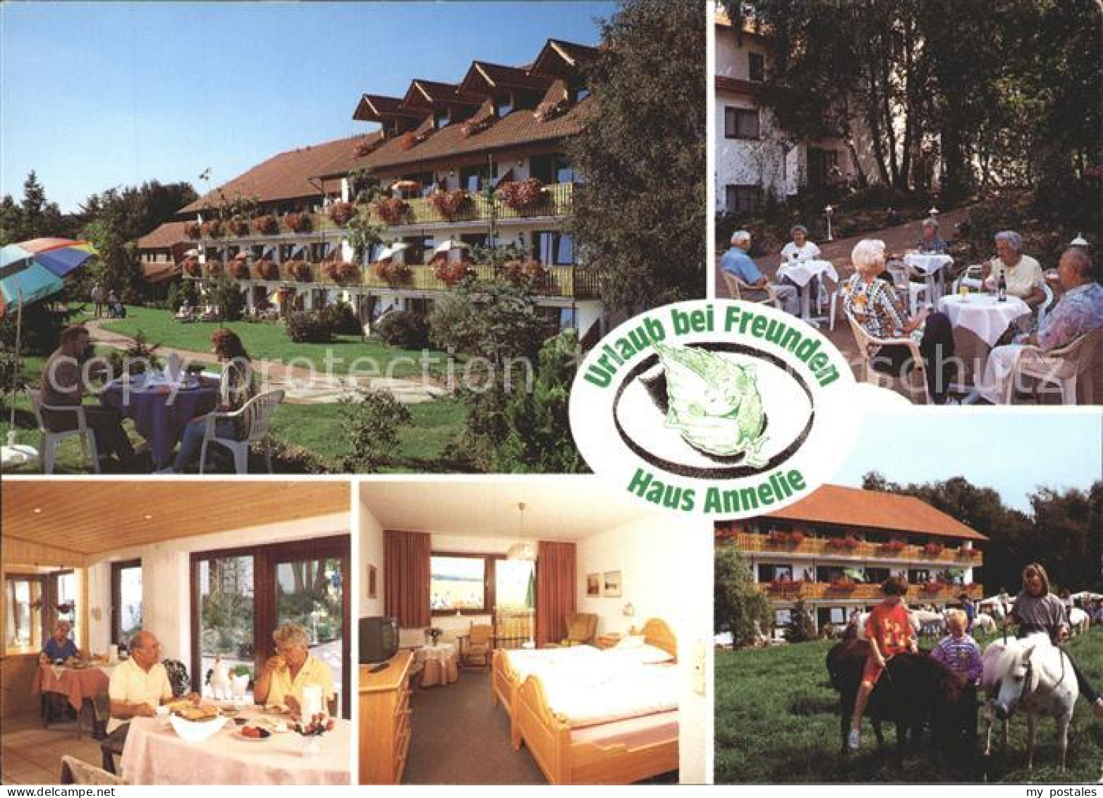 72297388 Holzhausen Luebbecke Pension Haus Annelie Am Wiehengebirge Ponyreiten P - Getmold