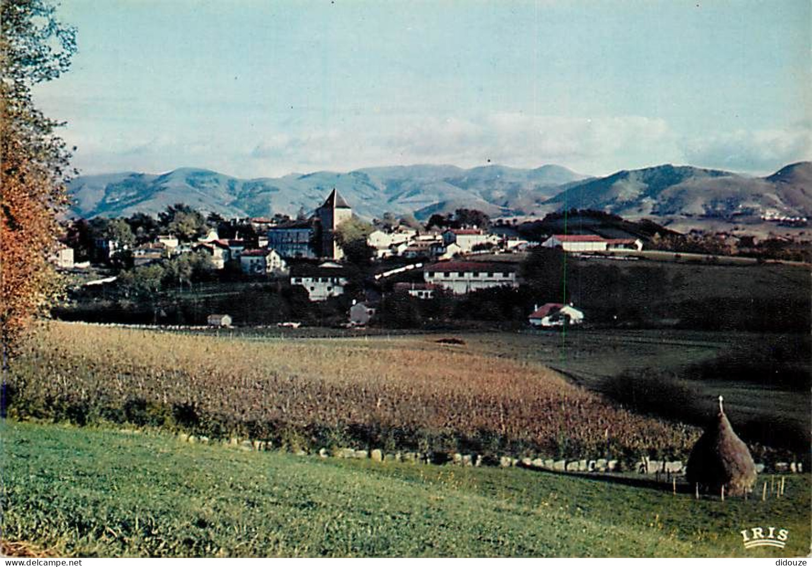 64 - Sare - Vue Générale - Au Fond  La Chaîne Das Pyrénées - CPM - Voir Scans Recto-Verso - Sare