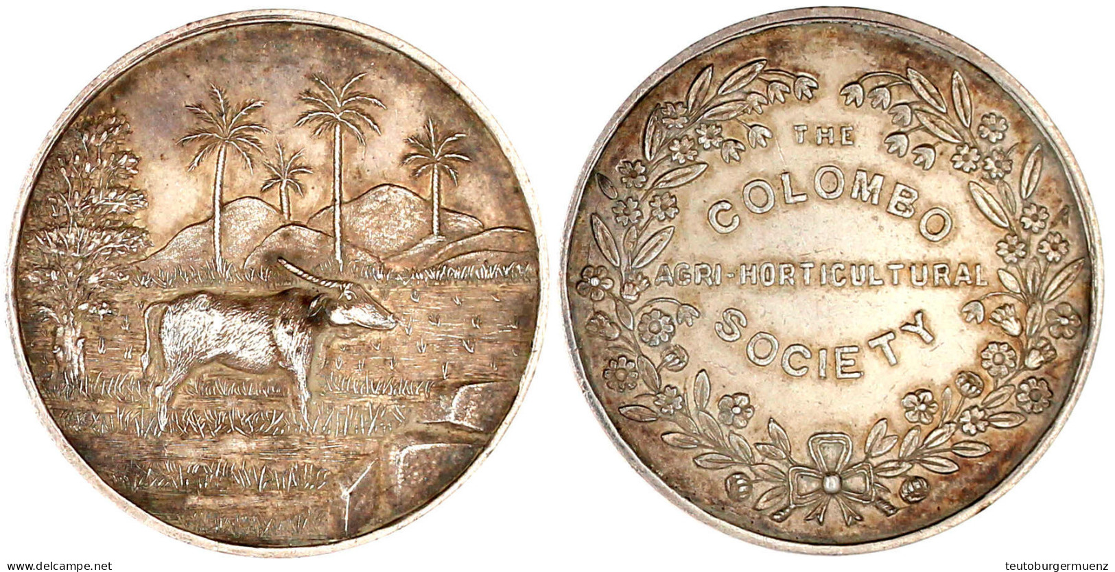 Silbermedaille Der Colombo Agri-Horticultural Society O.J. (um 1900, Unsign). Wasserbüffel Im Reisfeld Vor Palmen/Schrif - Sri Lanka