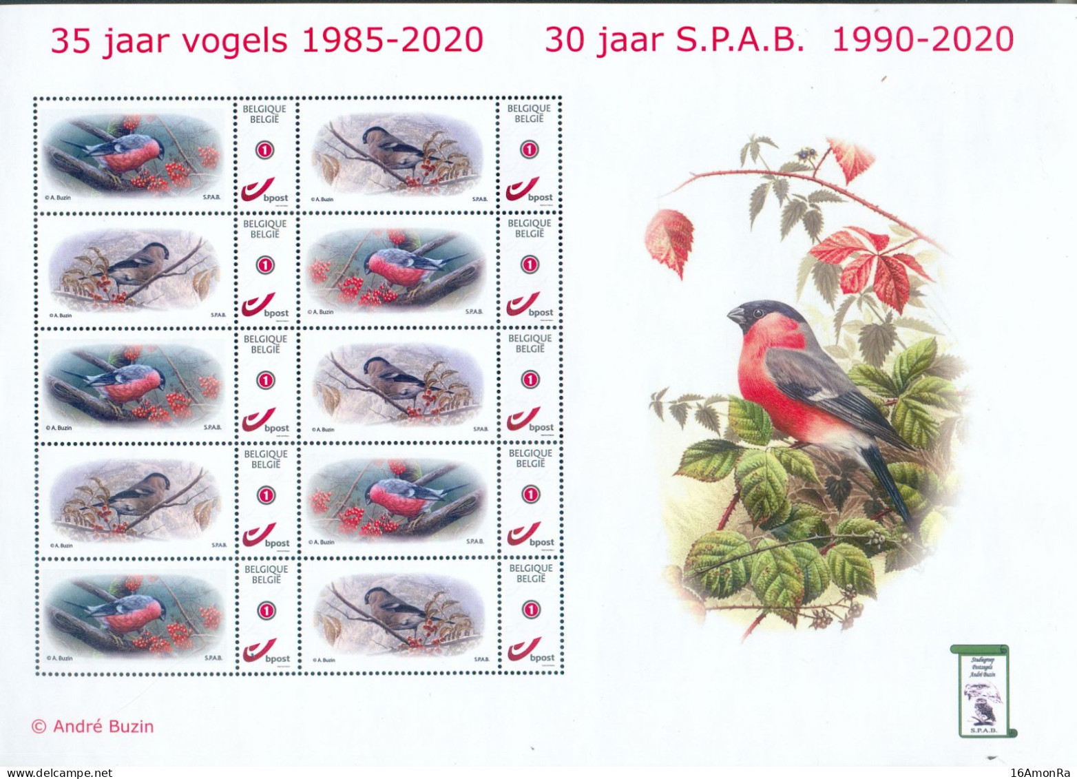 35 Ans S.P.A.B. 1990-2020 OISEAUX BUZIN DUO STAMP En Feuille Avec 2 Modèles Différents.  RR - 22042 - 1985-.. Vogels (Buzin)