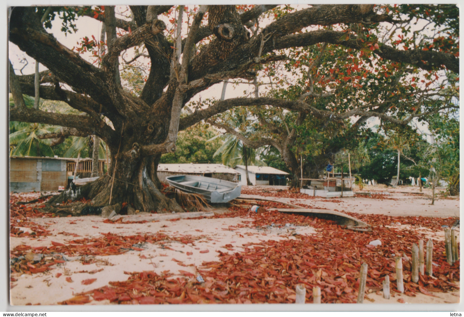 Australia QUEENSLAND QLD Homes & Beach MURRAY ISLAND TORRES STRAIT Ross Photo Postcard C1980s - Far North Queensland