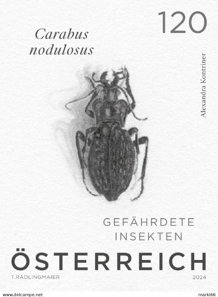 Austria - 2024 - Beetles - Carabus Nodulosus - Black Ground Beetle - Mint Stamp Proof (blackprint) - Essais & Réimpressions