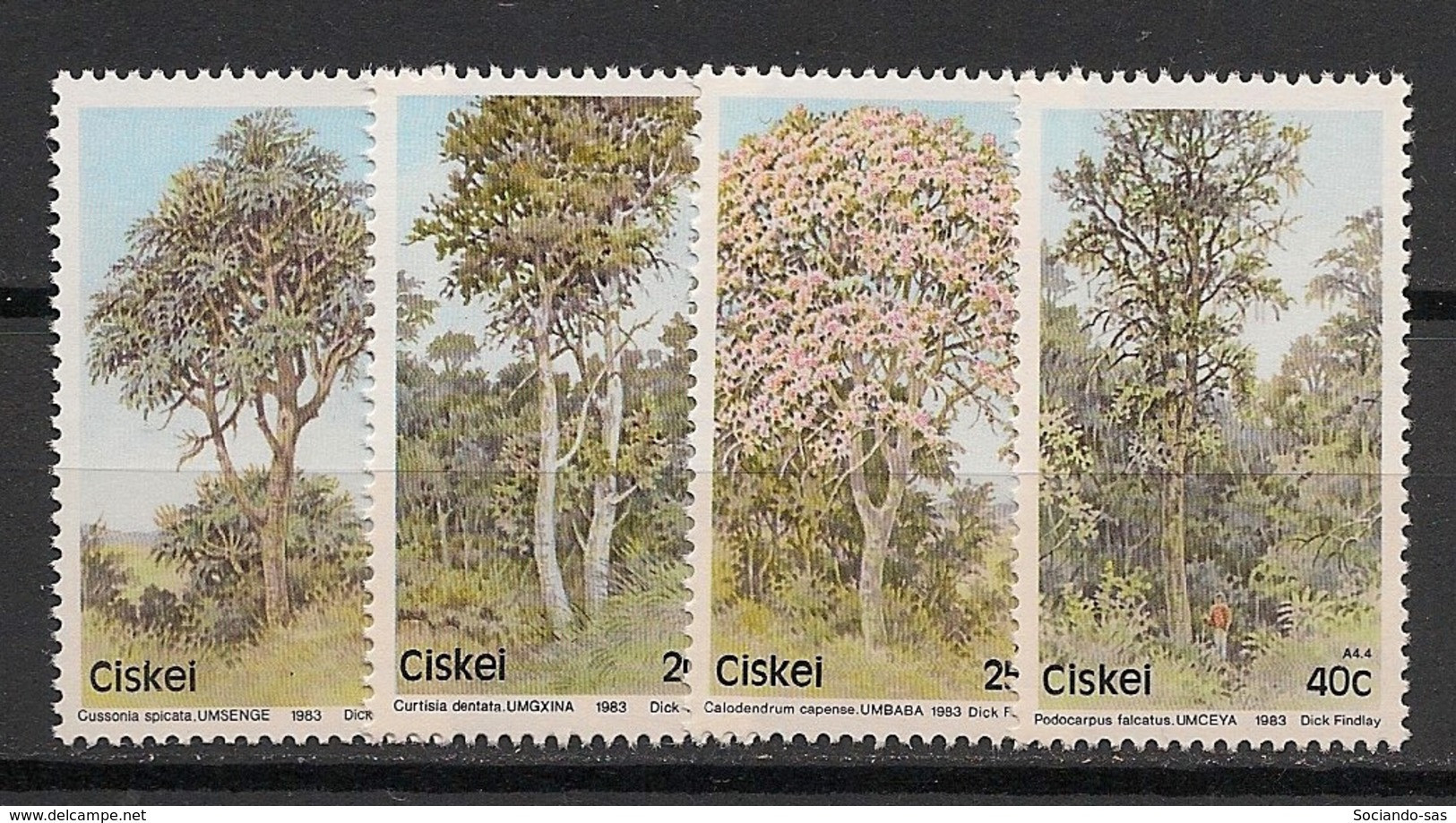 CISKEI - 1983 - N°YT. 34 à 37 - Arbres / Trees - Neuf Luxe ** / MNH / Postfrisch - Ciskei