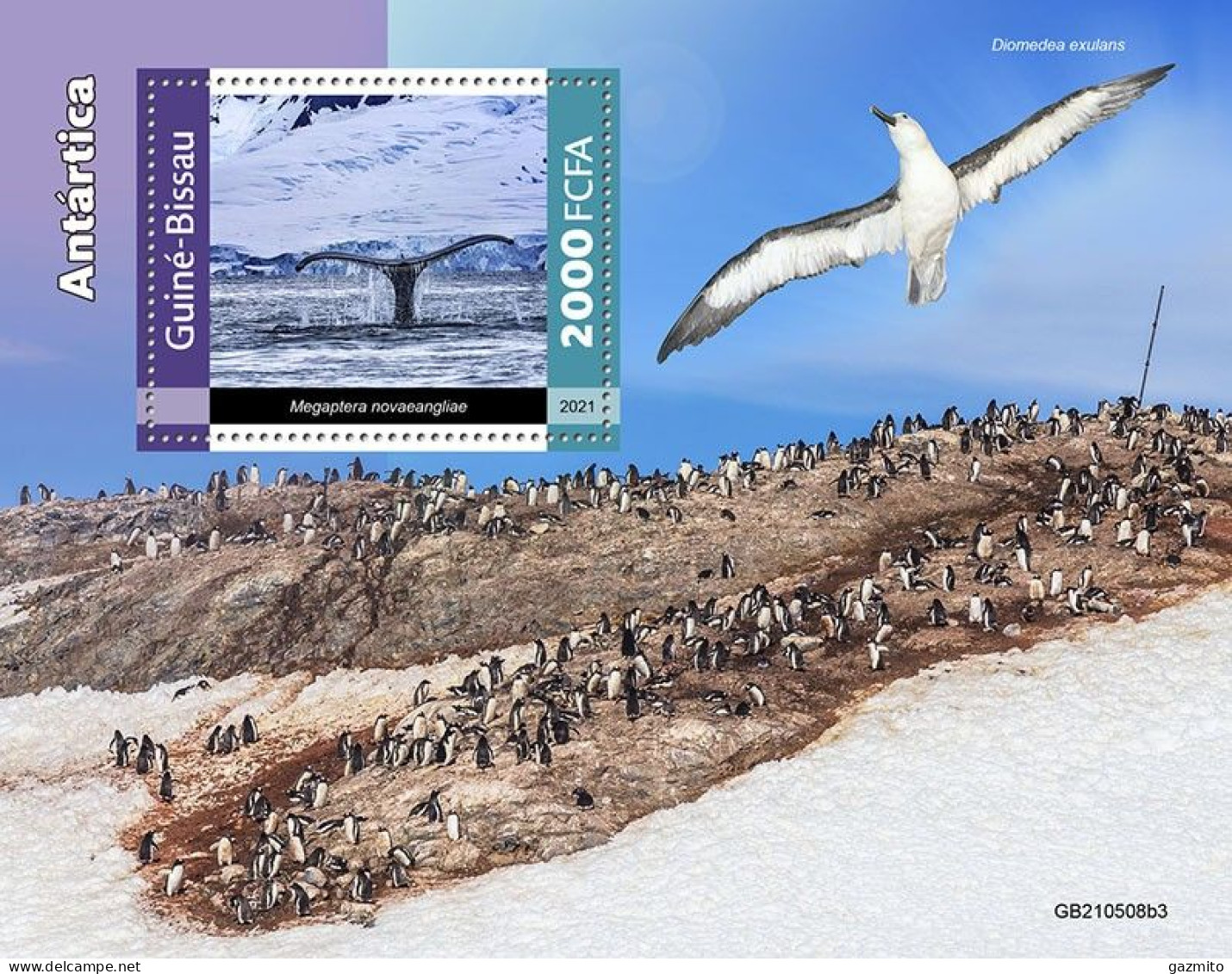 Guinea Bissau 2021, Animals Antartic, Whale, Penguin, Birds, BF - Antarctic Wildlife