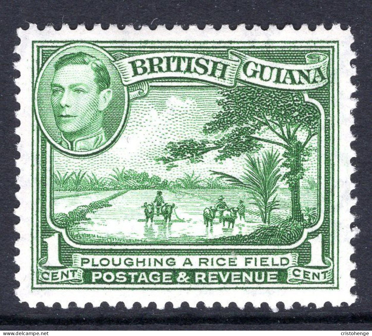 British Guiana 1938-52 KGVI Pictorials - 1c Ploughing A Rice Field - P.12½ - Green HM (SG 308a) - Guayana Británica (...-1966)