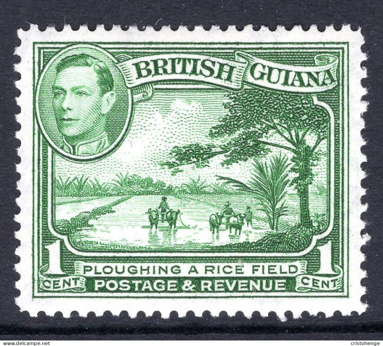 British Guiana 1938-52 KGVI Pictorials - 1c Ploughing A Rice Field - P.12½ - Green HM (SG 308a) - Britisch-Guayana (...-1966)