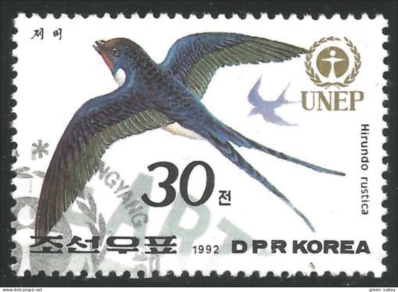 548 Korea Hirondelle Swallow Schwalbe Rondine Andorinha Golondrina Zwaluw (KON-144c) - Hirondelles