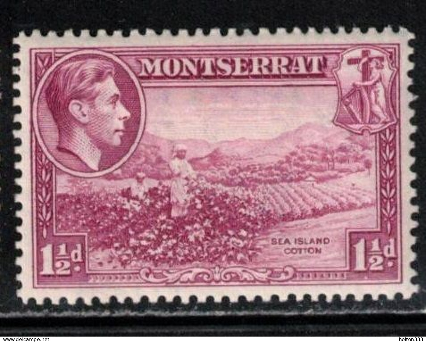 MONTSERRAT Scott # 94a MH - KGVI & Sea Island Cotton - Montserrat