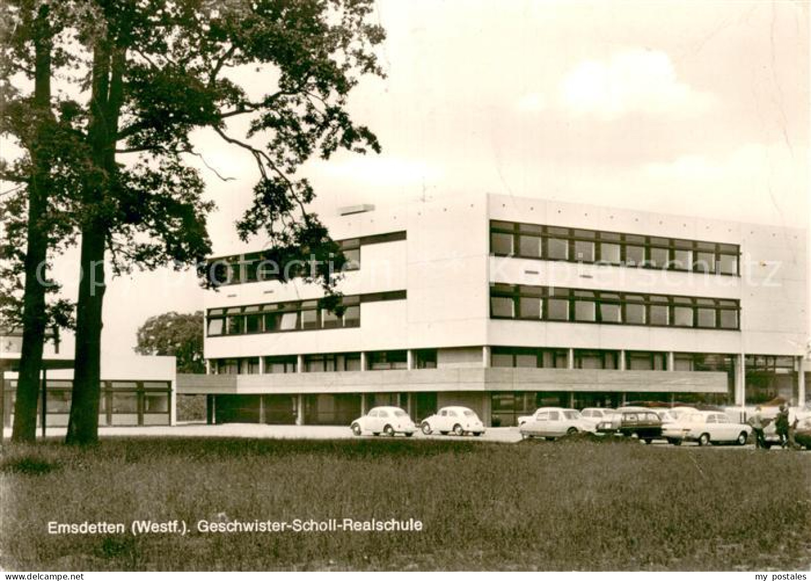 73702599 Emsdetten Geschwister-Scholl-Realschule Emsdetten - Emsdetten