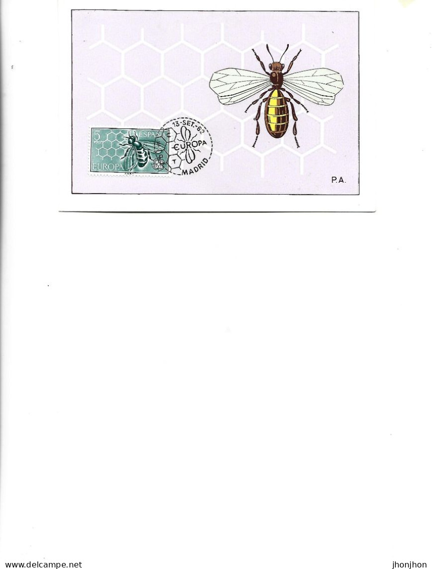 Spain  -  Maximum Postcard  1962 -    Bees - Anthophila - Bombus Pratorum (?) - Honeybees