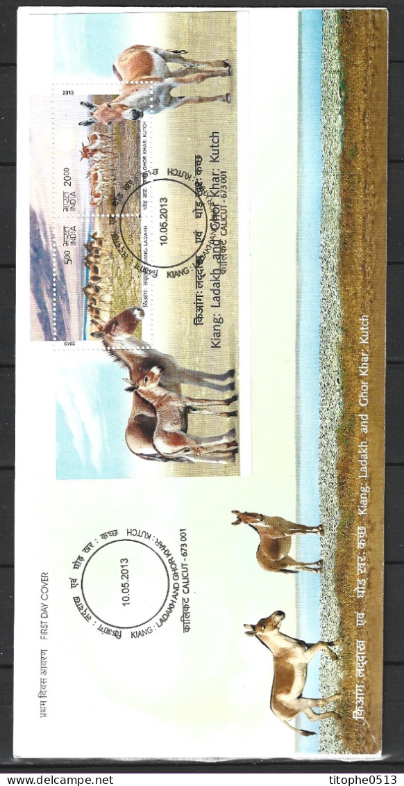 INDE. BF 104 De 2013 Sur Enveloppe 1er Jour. Ane Sauvage. - Donkeys