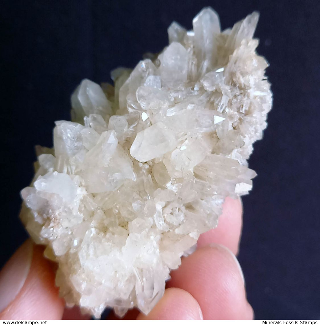 #L40 Splendid QUARTZ Crystals Center-geode (Val D'Aosta, Italy) - Mineralien