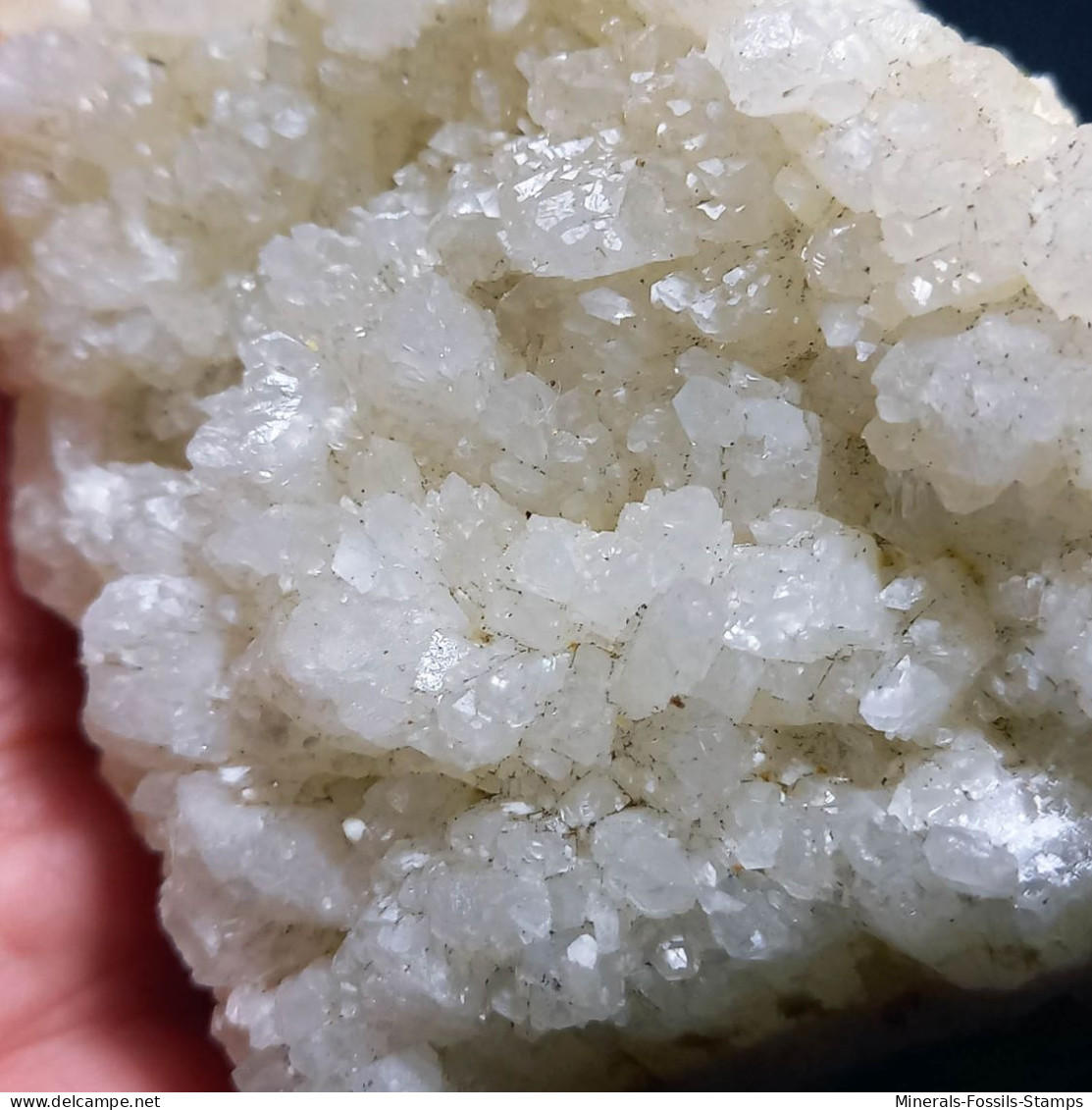 #L133 Wunderschöne COELESTIN Kristalle (Agrigento, Sizilien, Italien) - Mineralien