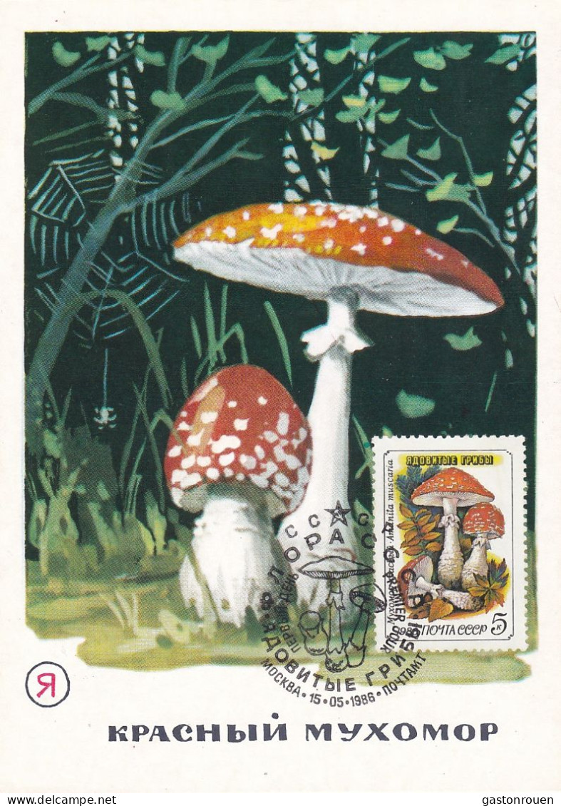 Carte Maximum URSS Russie Russia Champignon Mushroom 5305 - Maximumkaarten
