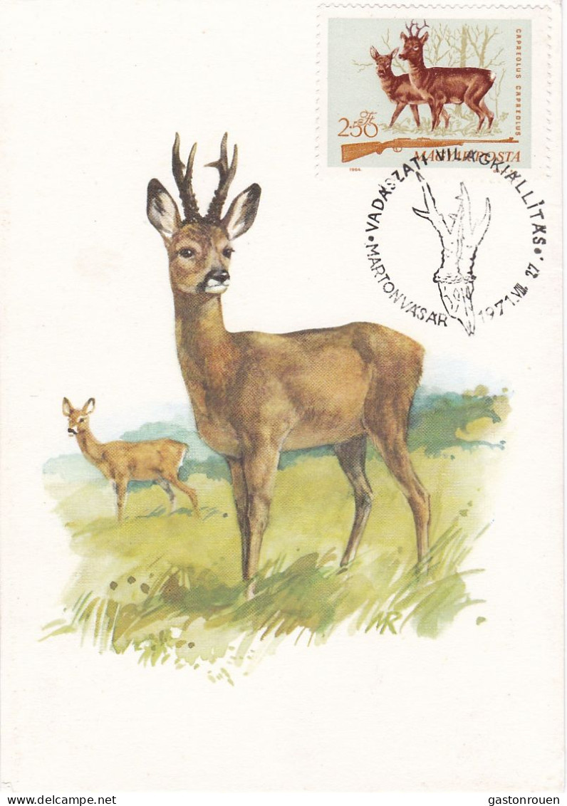 Carte Maximum Hongrie Hungary Chasse Chevreuil Deer 1698 - Maximumkarten (MC)