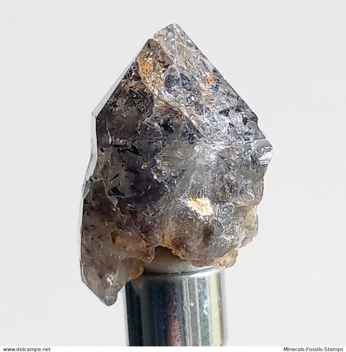 #T32 - Ungewöhnliche RAUCHQUARZ Kristalle (Victoria, Australien) - Minéraux