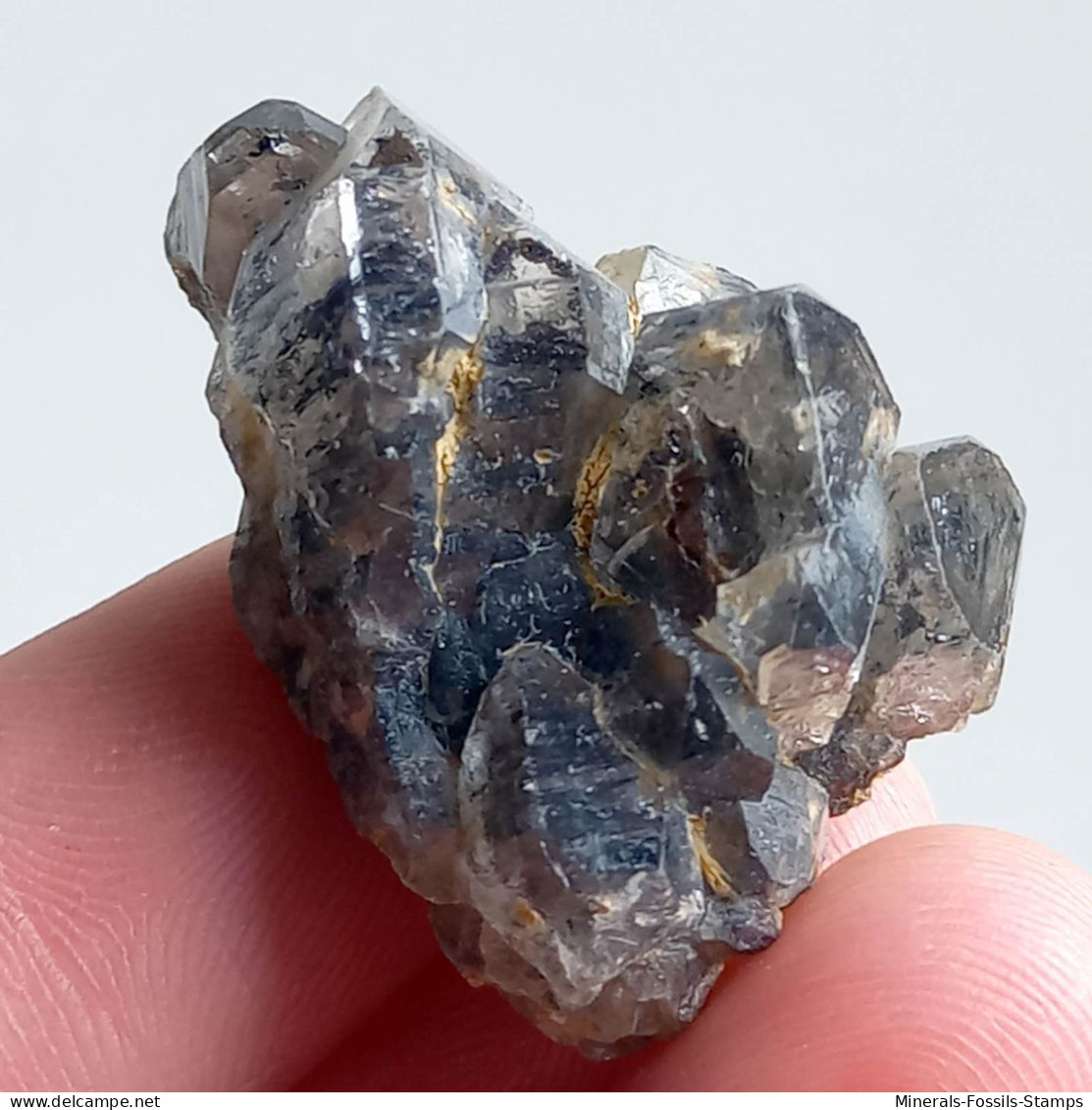 #T33 - Ungewöhnliche RAUCHQUARZ Kristalle (Victoria, Australien) - Mineralien