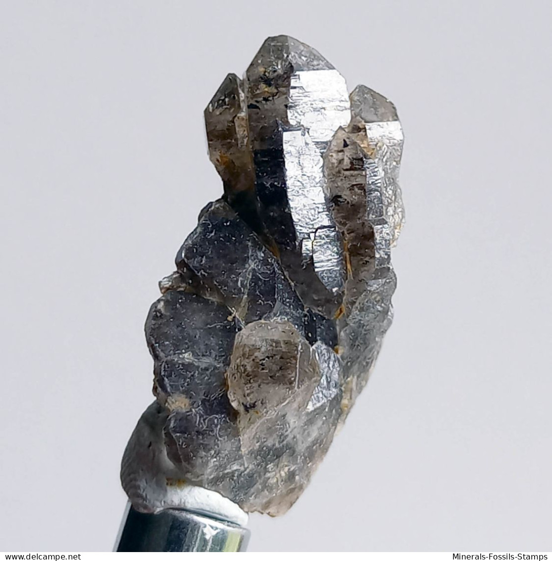 #T38 - Ungewöhnliche RAUCHQUARZ Kristalle (Victoria, Australien) - Mineralien