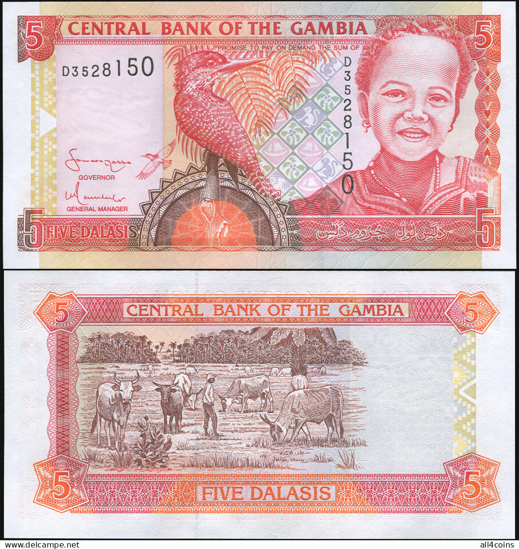 Gambia 5 Dalasis. ND Paper Unc. Banknote Cat# P.20c - Gambia
