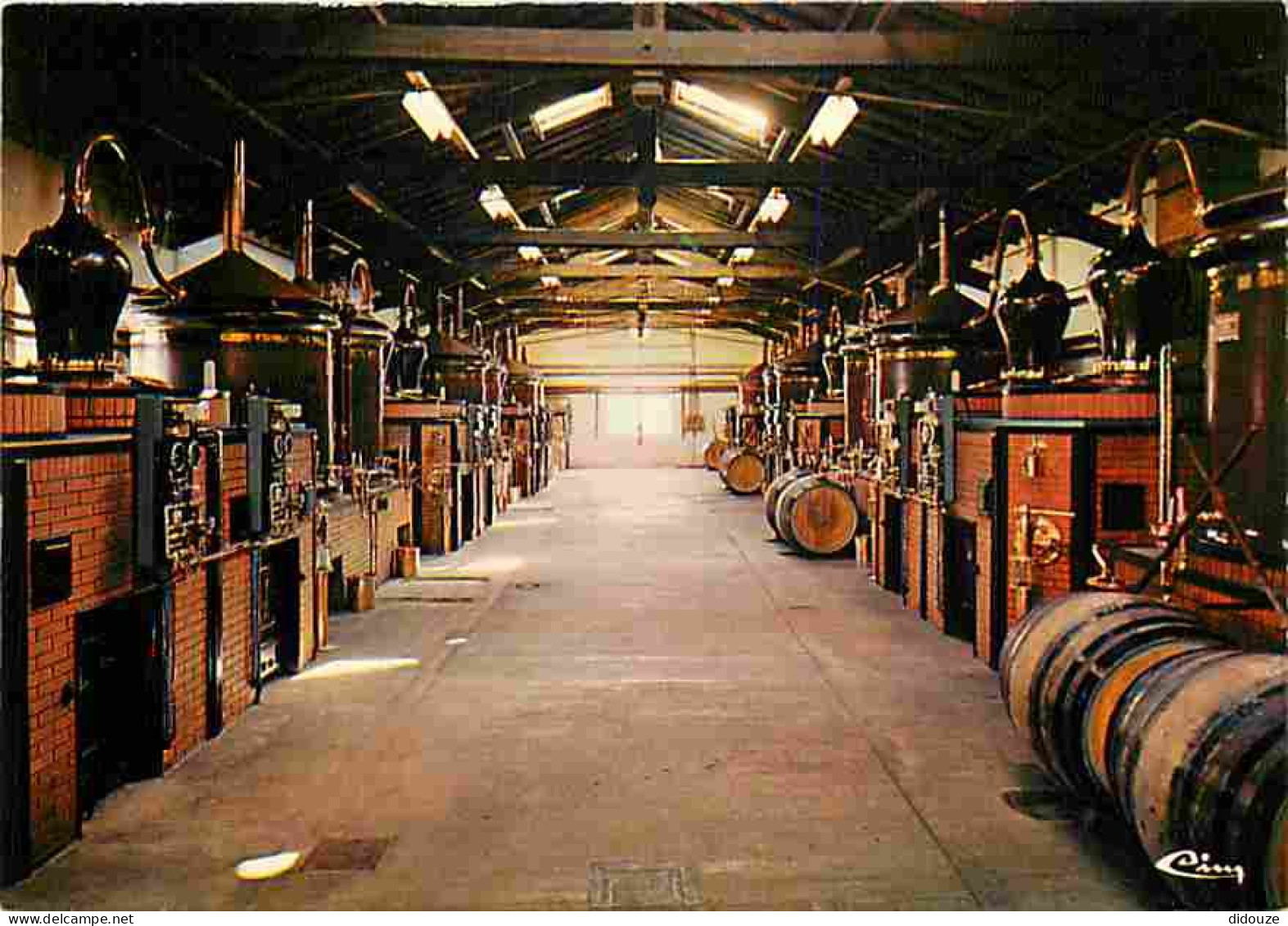 16 - Chateauneuf Sur Charente - Société Vaud - Distillerie De Cognac - Carte Neuve - CPM - Voir Scans Recto-Verso - Chateauneuf Sur Charente