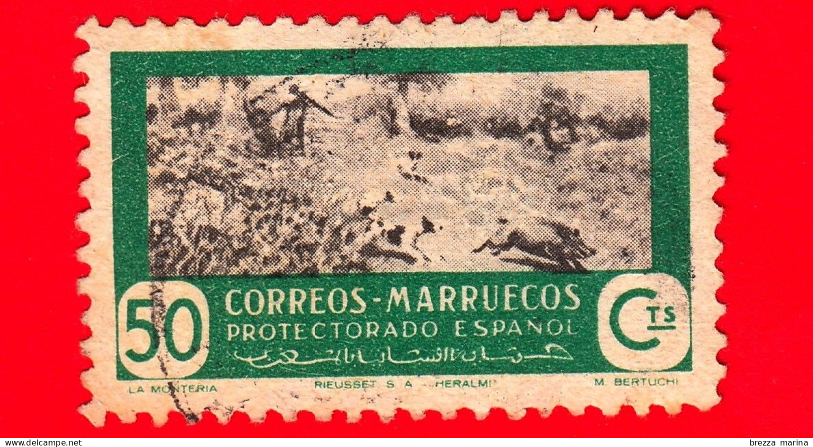 MAROCCO - Usato - Marruecos - 1951 - Caccia Al Cinghiale - 50 - Spanisch-Marokko