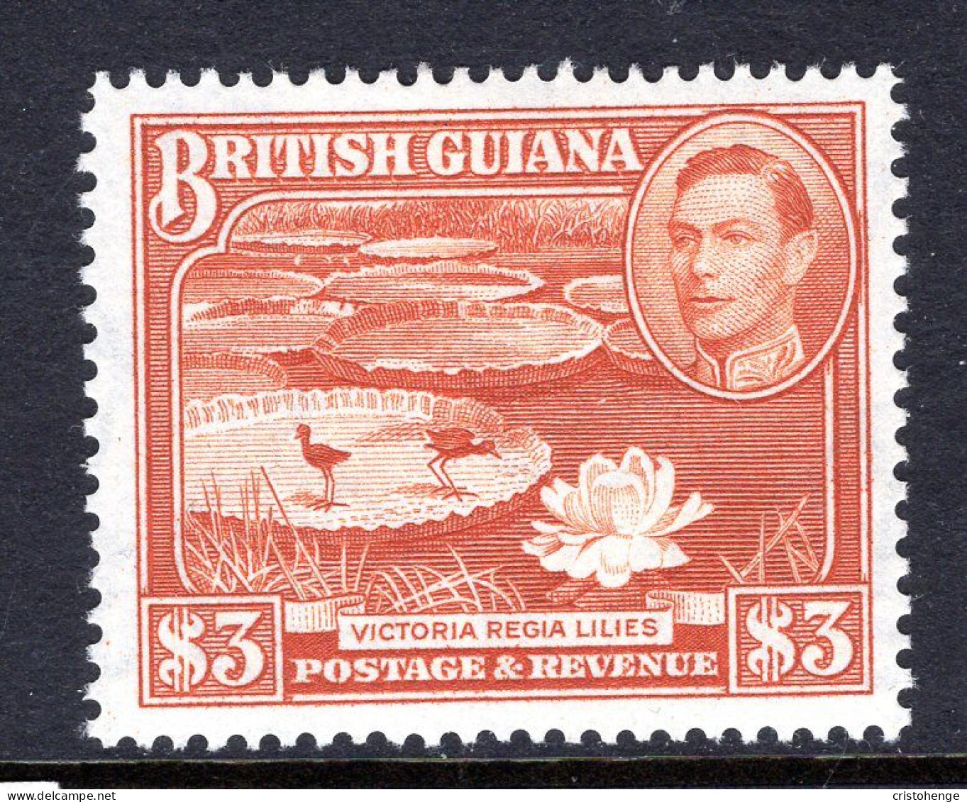 British Guiana 1938-52 KGVI Pictorials - $3 Water Lilies - P.14 X 13 HM (SG 319b) - Brits-Guiana (...-1966)