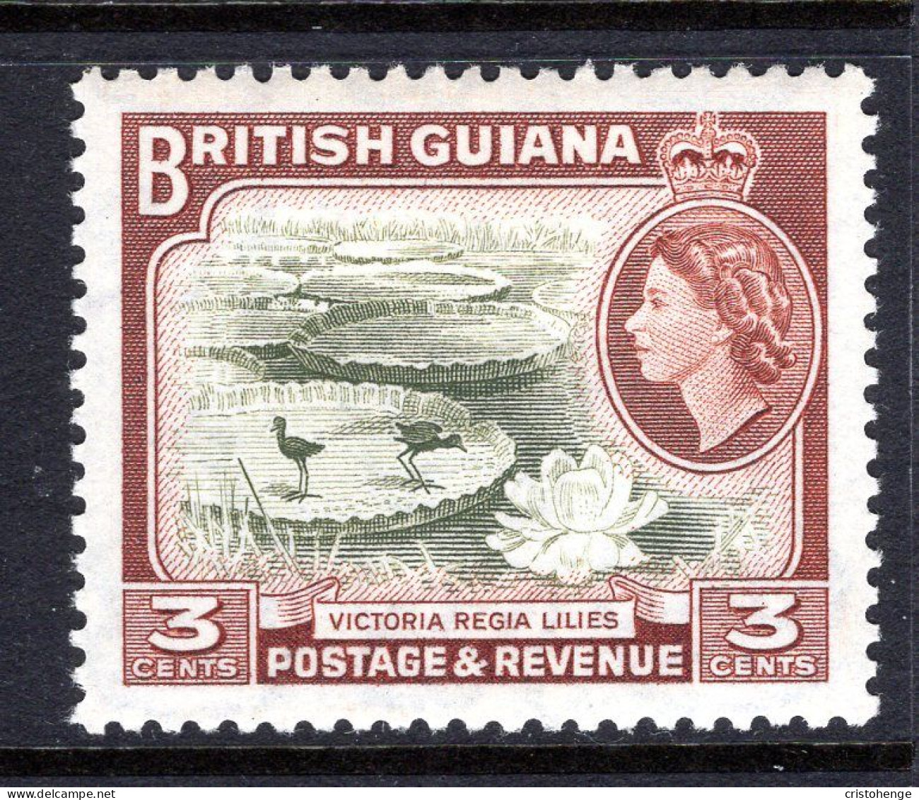 British Guiana 1954-63 QEII Pictorials - 3c Water Lilies HM (SG 333) - British Guiana (...-1966)