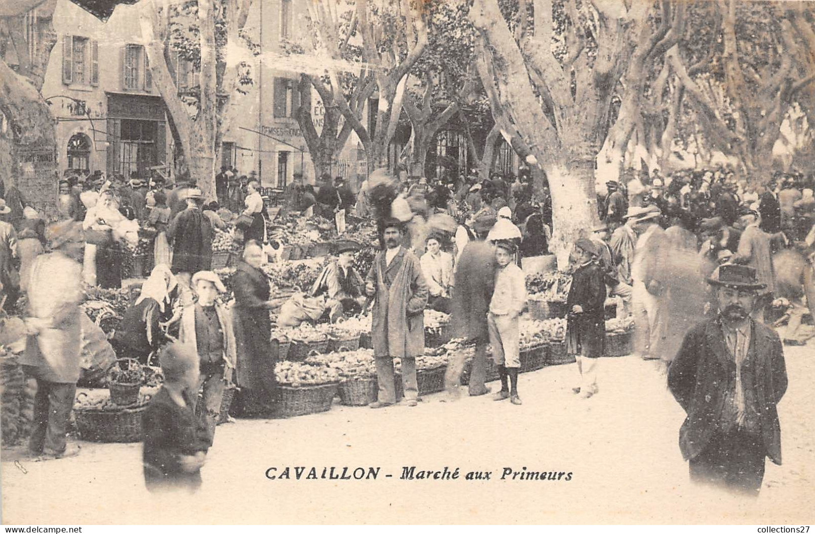 84-CAVAILLON- MARCHE AUX PRIMEURS - Cavaillon