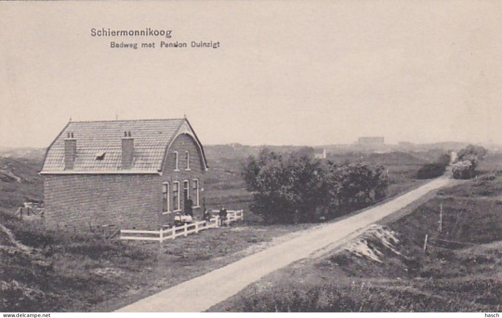 486077Schiermonnikoog, Badweg Met Pension Duinzigt.  - Schiermonnikoog