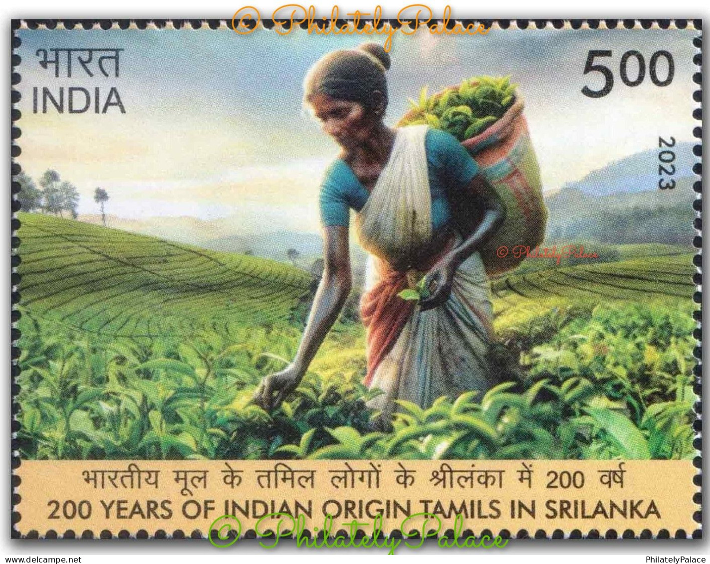 India 2023,Tea, Plucking, Drink, Food,Woman, 200th Years Of Indian Origin Tamils In Sri Lanka, 1v MNH (**) Inde Indien - Nuevos