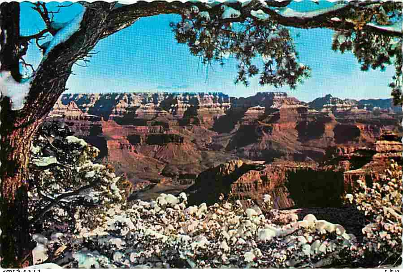 Etats Unis - Grand Canyon - Grand Canyon National Park - CPM - Voir Scans Recto-Verso - Grand Canyon