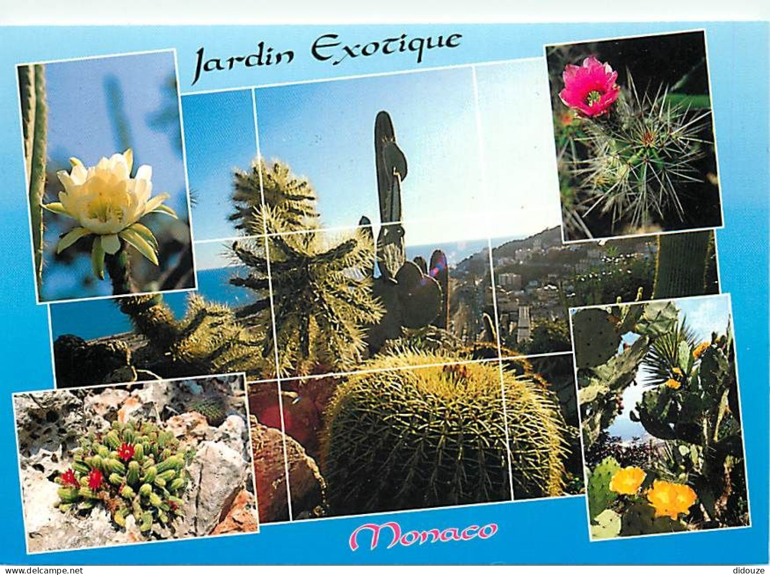 Fleurs - Plantes - Cactus - Principauté De Monaco - Le Jardin Exotique - Multivues - CPM - Voir Scans Recto-Verso - Cactus