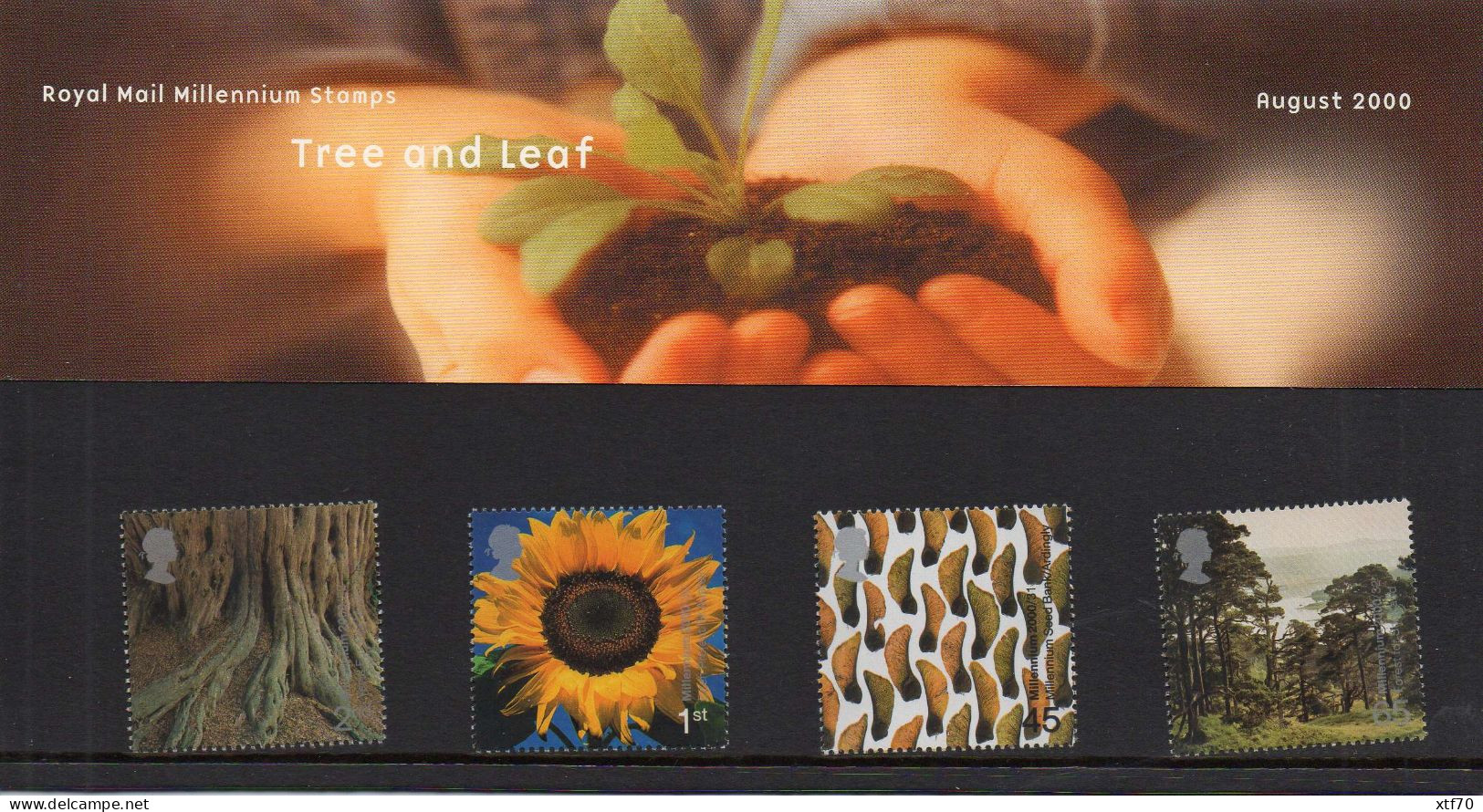 GREAT BRITAIN 2000 Millennium Projects: Tree And Leaf Presentation Pack - Presentation Packs