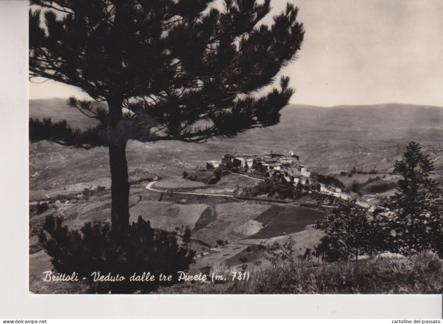 BRITTOLI PESCARA  VEDUTO DALLE TRE PINETE  VG  1956 - Pescara